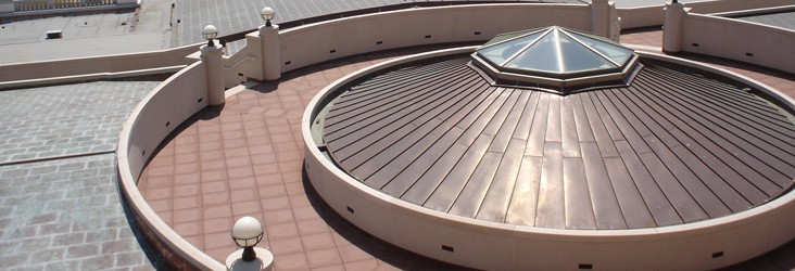School-King-Hall-Roof School-King-Hall-Roof